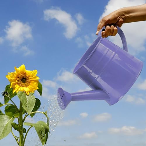 Tinplate Watering Kettle, 1L Metal Garden Watering Can, Vintage Sprinkling Can for Flowers, Indoor & Outdoor Plants, Lawn & Garden Irrigation Tool (Light Purple)
