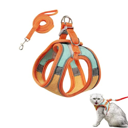 KEWUF Pettorina Gatto, Guinzaglio per Gatti, Antifuga Pettorina per Cani Piccola, Pettorina Traspiranti Regolabili per Cuccioli o Gatti Passeggiate all'aperto in Traspirante(M, Consigliato 2-4 kg)