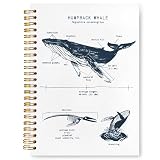 VIIJJUE Humpback Notebook