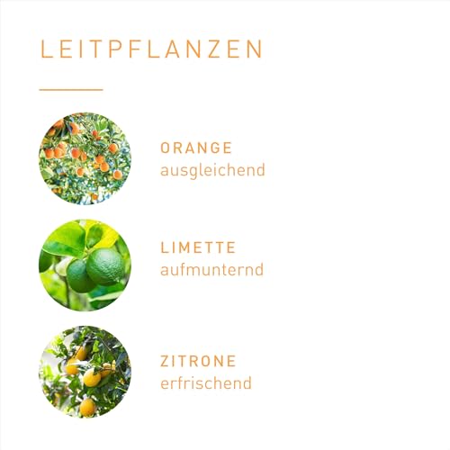 Primavera Duftmischung Gute Laune 5 ml Ätherisches Öl für Aromatherapie