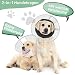 Supet Halskrause Hund zum Verhindern des Leckens mit weichem Polster, klare Elizabeth-Recovery-Halskrause nach Operation, alternative Kopfkrause für große, mittlere und kleine Hunde(Reines Schwarz,XS)