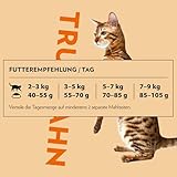 PrimaCat - Getreidefreies Trockenfutter für sterilisierte Katzen, Geschmacksrichtung Truthahn und Insekten, 400 g
