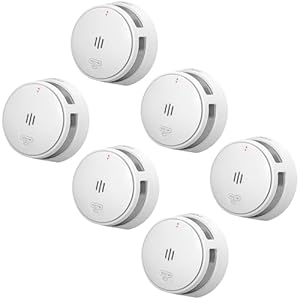 Savs S10x6 Rauchmelder 6 Stück