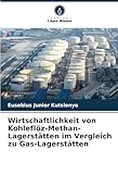  Wirtschaftlichkeit von Kohleflöz-Methan-Lagerstätten im Vergleich zu Gas-Lagerstätten: DE