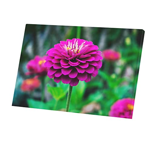 Toile imprimée macro dahlia rose de haute précision format 60x40 cm