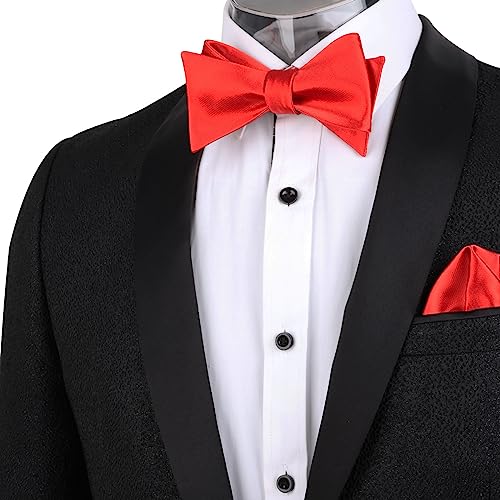 Image of Alizeal Mens 2pcs Solid Self-tied Bow Tie Set