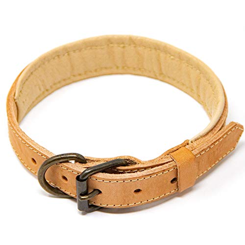 Logical Leather Padded Dog Collar - Best Full Grain Heavy Duty Genuine Leather Collar - Tan - Medium #TOP7