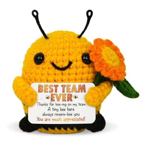 OASSIE Employee Appreciation Gifts for Coworkers - Positive Crochet Bee