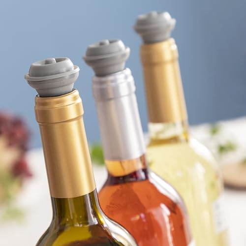 Pompe à vide vin kit de conservation complet à offrir aux amateurs