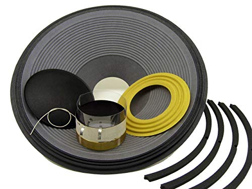 SS Audio Recone Kit for 18