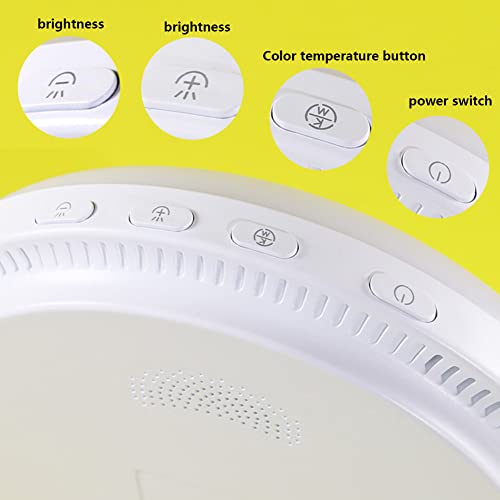 Luz de espectro completo SAD con modos de brillo ajustable para bienestar invernal 3