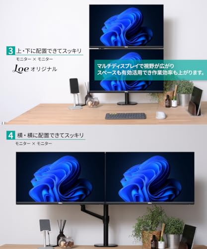 LOE(ロエ) 【日本企画】 デュアル モニターアーム ノートパソコン Laptop 2画面 縦 上下 配置 液タブ ロング 組み立て簡単 LOLL3L ProX ブラック