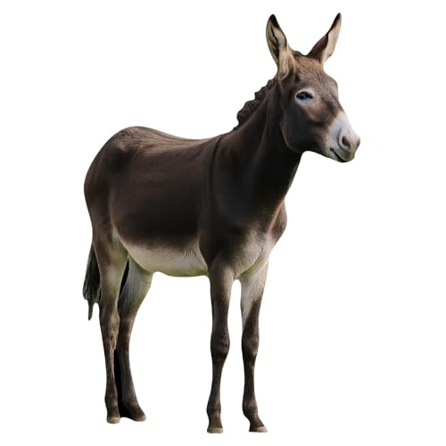 Produkt Bild Nr. 5