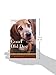 Good Old Dog: Expert Advice for Keeping Your Aging Dog Happy, Healthy, and Comfortable