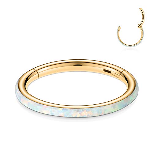 Funlmo 16G Daith Helix Earrings Opal Cartilage Earring Hoop Tragus Rook Snug Helix Piercing Jewelry Septum Jewelry 6Mm Gold… #TOP25