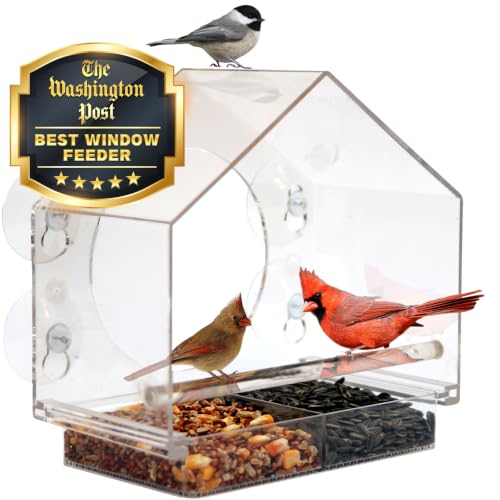 Nature Anywhere Window Bird Feeder - Weather Proof Transparent Acrylic Bird Feeders for Outdoors - Enhanced Suction Grip, Bird Watching for Cats, Easy-to-Clean, Outdoor Birdhouse Feeder (1 Unit)