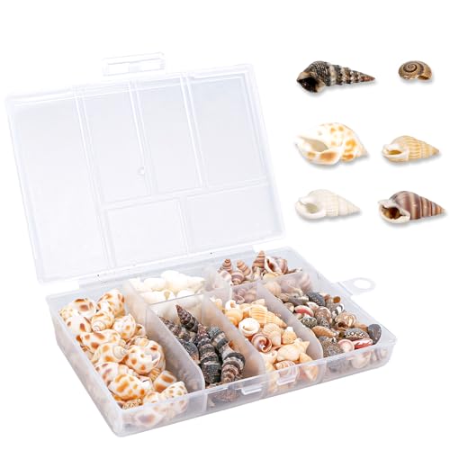 Geukmun 100 Pcs Natural Sea Shells for Crafts Mixed Small Seashells 0.39-1.57inch Beach Shells for DIY Hawaiian Style Vase Fillers Aquarium Decor Wedding