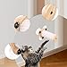 IEUDNS Wall Wall Furniture Claws Grinding Suction Cup Scratching Ladder Cat Climbing Step for Climb Stretching
