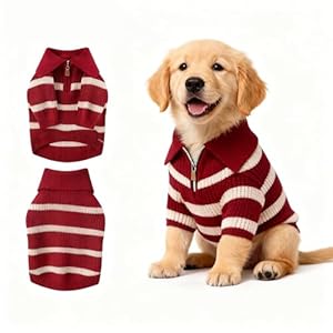 Small Dog Sweater with Zipper, Knit...