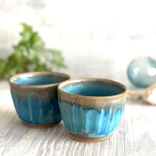 益子焼 酒器」の人気商品一覧 | 安い商品を通販サイトから探す - 価格.com