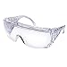 Safety Works 817691 Over Economical Safety Glasses, Clear