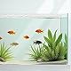 QoTang 4 Stück Aquarium Abdeckung,Aquarium Deckel Aquarium Bildschirmnetz Kunststoffgitter mit 8 Halterungen und 8 Kabelbindern,Anti-Spring-Terrariendeckel für Reptilien & Wassertiere,30x30 cm