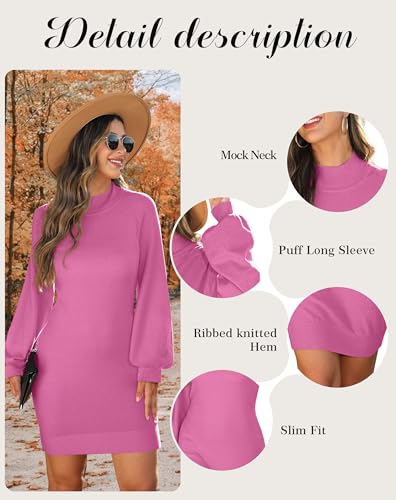 Image of GRECERELLE 2026 Womens Fall Winter Mock Neck Mini Pullover Sweater Dress