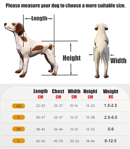 Fauteuil roulant pour chien à 4 roues pour pattes arrière XS-L
