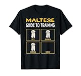 Perro Maltese Regalo