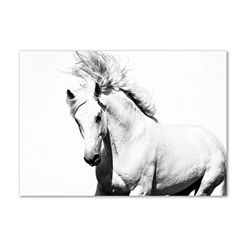 Dosseret en verre animaux pour cuisine lumineuse avec grand splashback cheval