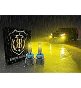 Amazon | ロイヤルガードオメガ LED フォグランプ イエロー H8 H11 H16