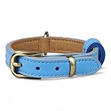 Beanspet 犬用首輪 本革 小型犬 中型犬 大型犬対応 軽量 アンティーク風金具付き レザーカラー スエード裏地付き 6サイズ展開 5色選べる ベーシックモデル (ブルー, XS)