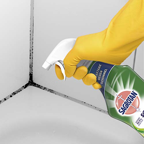 Sagrotan Schimmel Frei – Schimmelentferner für eine gründliche Oberflächenreinigung – 1 x 750 ml Sprühflasche