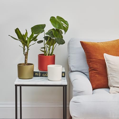 Ivyline Prague Planter in Cayenne with Waterproof Exterior and Cylindrical Shape, Matte Finished Flower Pot - Image 3