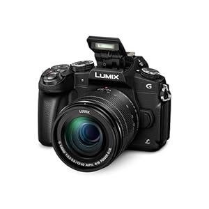 Panasonic LUMIX DMC-G80MEB-K Professional Camera with 12-60 mm Lens – Black