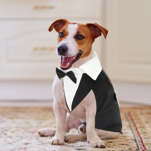 Disfraz formal para perro Tuxedo talla L negro miniatura 5