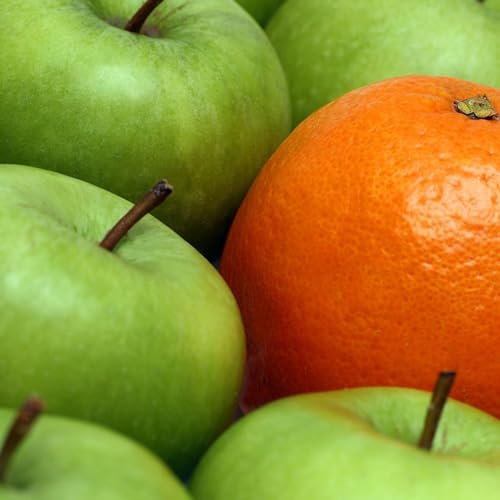 Tesla CyberTruck versus Dacia Sandero: Let&rsquo;s Compare the Incomparable! Let's Compare Apples & Oranges!