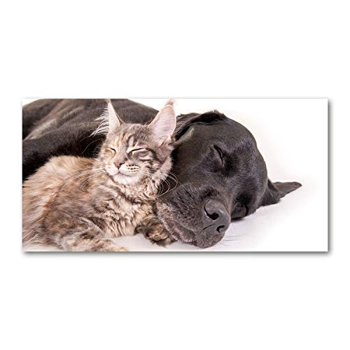 Splashback guard Tulup cuisine 100x50cm, crédence verre de sécurité et fond de hotte animaux