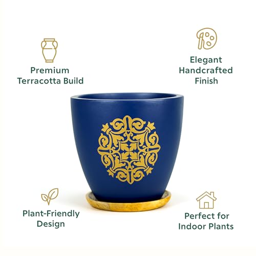 Image of Urban Plant Terracotta Pot with Wooden Saucer - Trendy Planter for Modern Home & Garden Spaces (Motif Terracotta Pot - Blue)