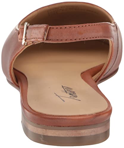 Image of Trotters Women's Sizzle Flat