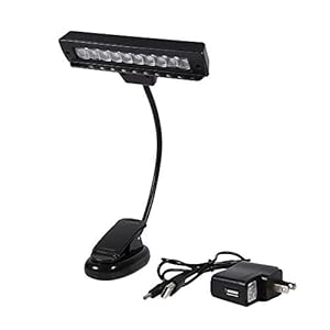 Clip-on LED-lamp, flexibele zwanenhals tafellamp met antislip clip, geschikt voor muziekstandaard, piano, orkestpodium, bureau, tafel, donkere club, enz.(#2)