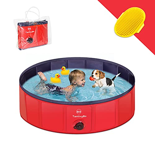 10 Best Top 10 Hard Plastic Kiddie Pool Picks For 2021 of 2022