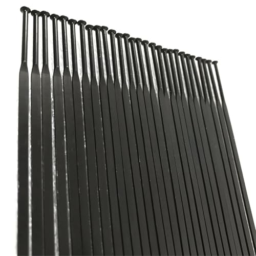 Rayons droits 14G en acier inoxydable noir pour roue de vélo de route et VTT x12