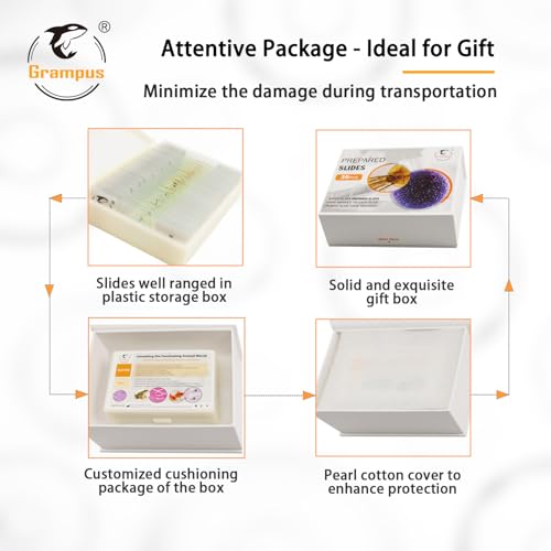 Image of 30 Prepared Microscope Slides with Specimens for Kids Students - Insects, for Biological Science Lab, Children's Science Education, Homeschooling Use