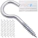 Shells 50PCS Silver Color Zinc Plated 1.28 Inches Metal Cup Hooks Round End Screw Hooks Self-tapping Screws Hooks