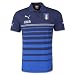 PUMA Men's FIGC Italia Hooped Polo