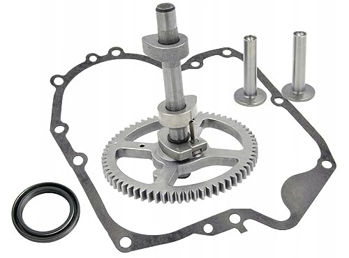 Arbre à cames compatible avec les modèles Briggs & Stratton 10,5-19 CV 21 28 31 33 INTEK OHV AVS