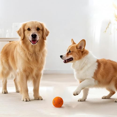 Boules pour chien d'extérieur : la solution anti-stress pour mâcheurs