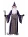 Forum Novelties Men's Wizard Adult Costume, Purple, Standard