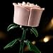 Imagen de Rosas Eternas de Bloques de Construcción Pack 2